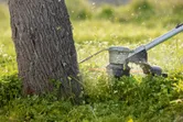 Cordless grass trimmer cutting tall grass near a tree trunk.